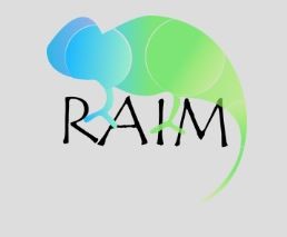 Raim: framework para la inclusión adaptativa en entornos educativos para todos